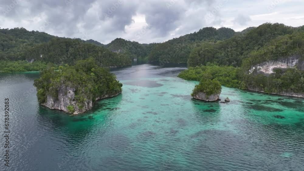 Scenic limestone islands, fringed by beautiful coral reefs, rise from the seascape in Raja Ampat, Indonesia. This region is known for its exquisite coral reefs and overall high marine biodiversity. Scenic limestone islands, fringed by beautiful coral reefs, rise from the seascape in Raja Ampat, Indonesia. This region is known for its exquisite coral reefs and overall high marine biodiversity.