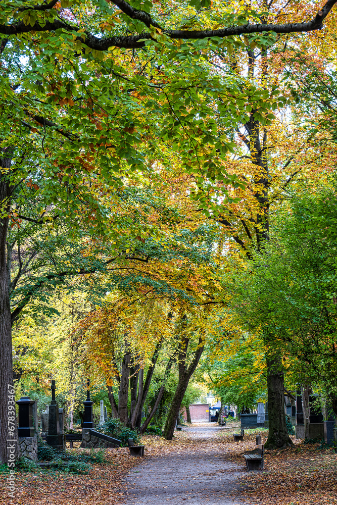 Naklejka premium Autumn view of famous Old North Cemetery of Munich, Germany with historic gravestones.