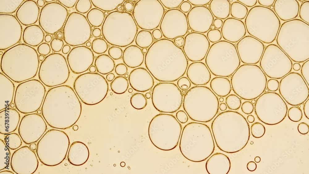 Transparent cosmetic gel fluid with molecule bubbles oil distribution. Bubble cluster, cells under a microscope. Macro Shot of Natural Organic Cosmetics, Medicine. Production Close-up. Slow Motion. 4k Transparent cosmetic gel fluid with molecule bubbles oil distribution. Bubble cluster, cells under a microscope. Macro Shot of Natural Organic Cosmetics, Medicine. Production Close-up. Slow Motion. 4k