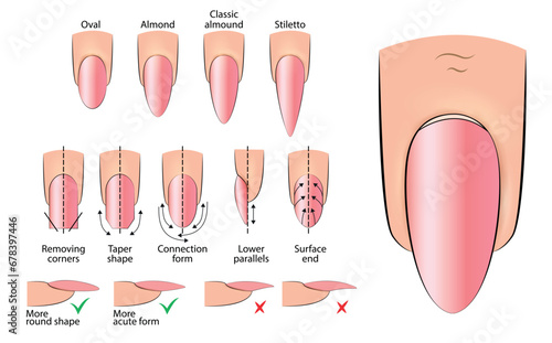 Illustration of a manual for creating an oval-shaped manicure for hardware training in vector