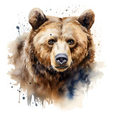 oso en pintura de acuarela observando con atención