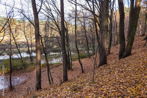 Park Bolimowski in Mazovia, Poland in autumn sunny day