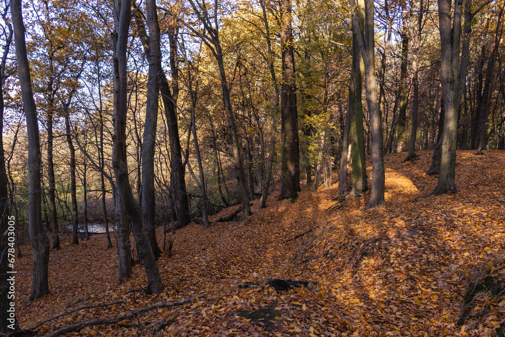 Park Bolimowski in Mazovia, Poland in autumn sunny day