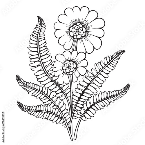 Ferns in cartoon  doodle style. 2d vector illustration in logo  icon style. AI Generative