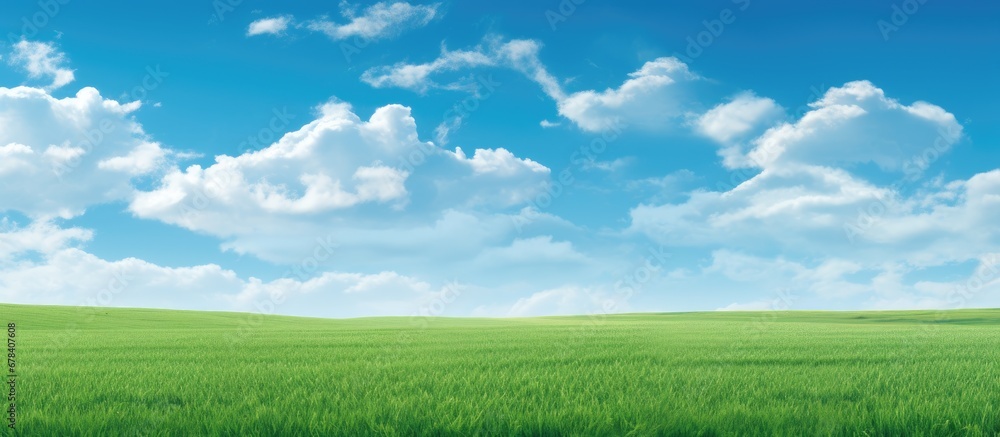 The lush green grass background merges seamlessly with the blue summer sky creating a picturesque landscape of natures beauty distance a content cow grazes field providing milk for the hard The lush green grass background merges seamlessly with the blue summer sky creating a picturesque landscape of natures beauty distance a content cow grazes field providing milk for the hard