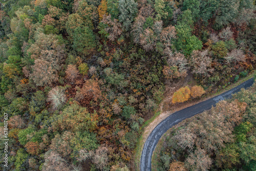 zenithal aerial drone view of the curve of a mountain road with deciduous forest in fall © Vic