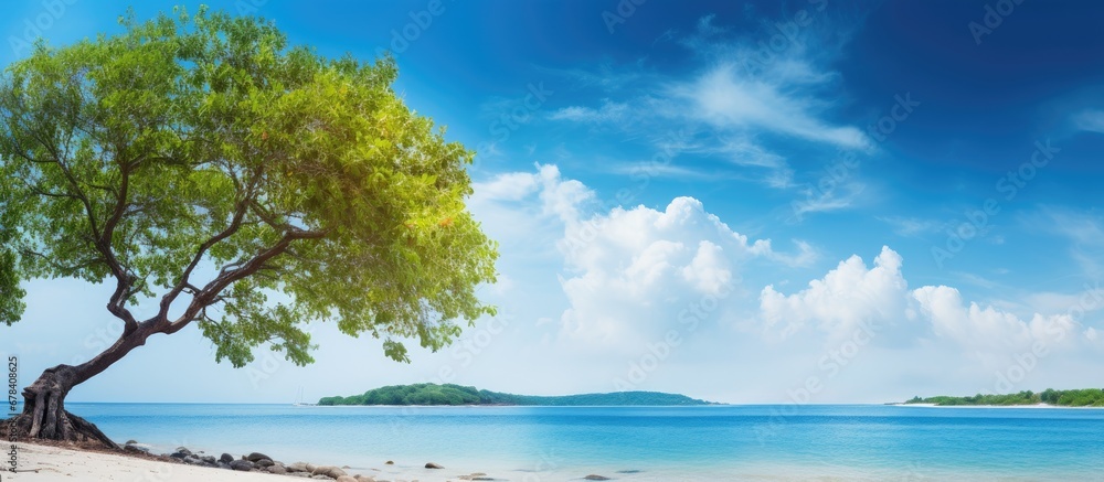 The blue sky and sea blend seamlessly with the beautiful natural view of the beach adorned with trees offering a picturesque scene that is blessed with the refreshing touch of water