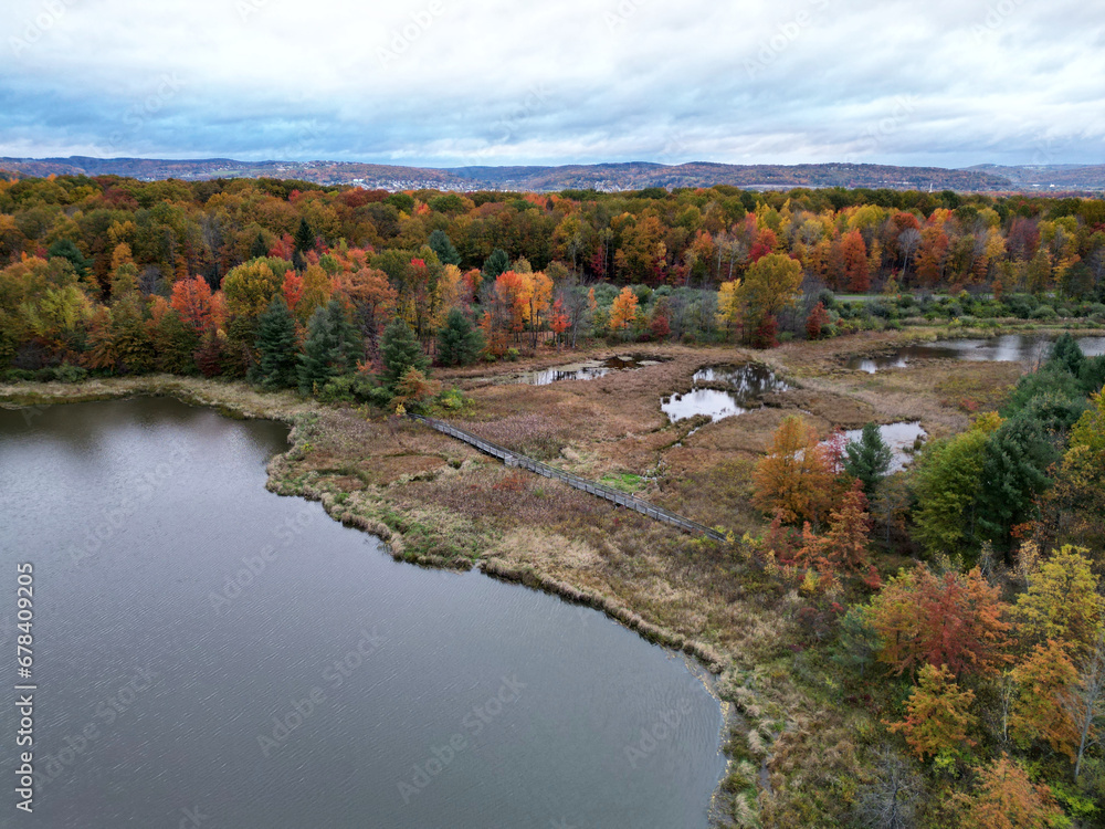 marsh with lake (aerial view in autumn with fall foliage) binghamton university nature preserve hiking trail with bridge in wetland, swamp (colorful leaves, hills) from above, nature walk marsh with lake (aerial view in autumn with fall foliage) binghamton university nature preserve hiking trail with bridge in wetland, swamp (colorful leaves, hills) from above, nature walk