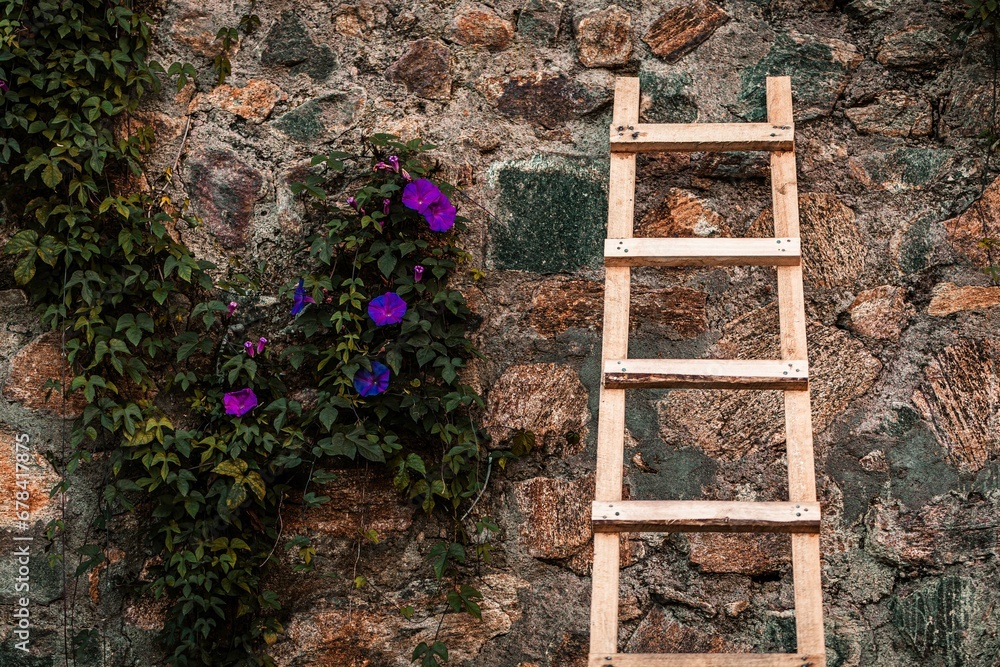 Ταπετσαρία Beautiful shot of a wooden ladder leaned on a stone wall with purple flowers
