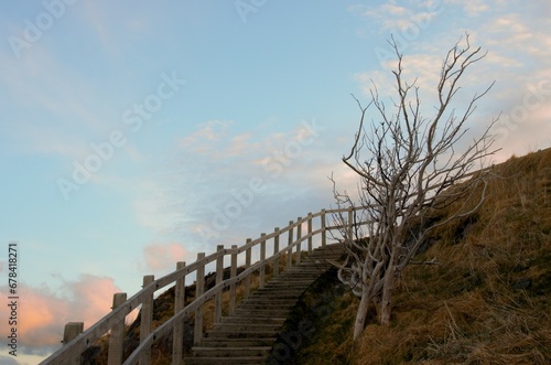wooden staircase up the cliff