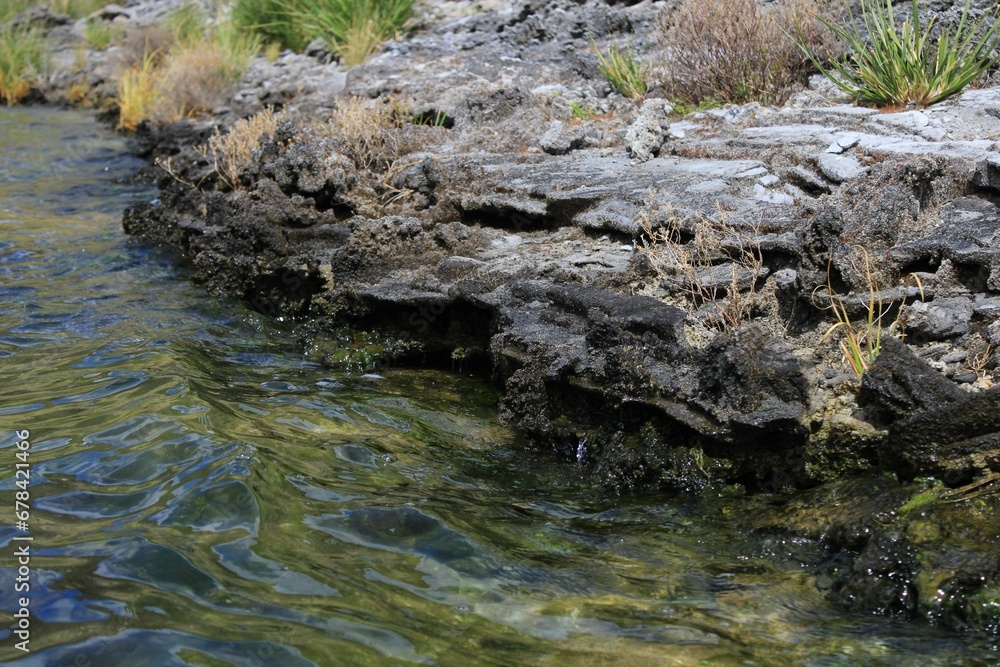 Narrow river near with water dripping off the rocks in Ecuador Narrow river near with water dripping off the rocks in Ecuador