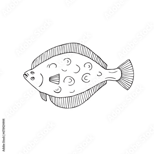Vector hand drawn doodle sketch flounder fish isolated on white background