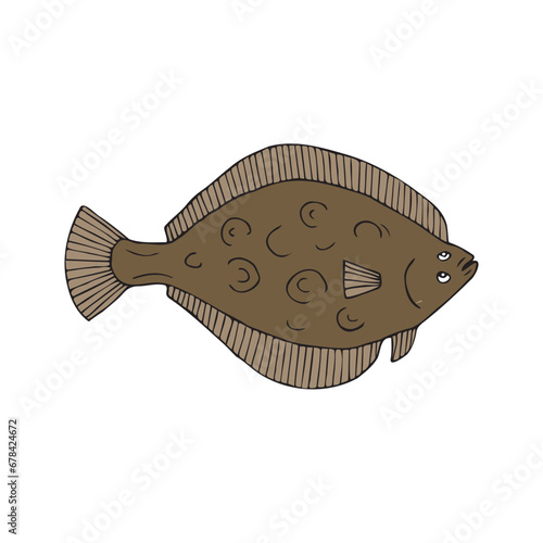 Vector hand drawn doodle sketch colored flounder fish isolated on white background