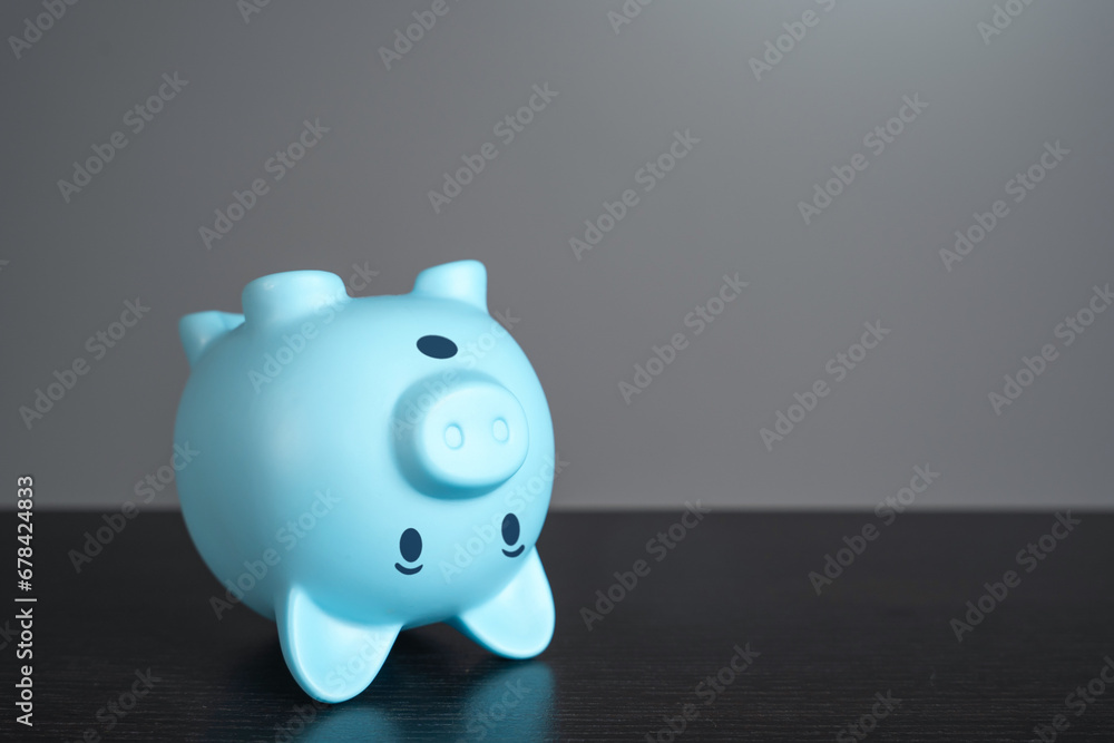 Surprised pig piggy bank. How to keep savings. Financial literacy. Banking secrecy. Audit and accounting. How to pay taxes. Economic forecasting. Finance guide. Retirement planning. Safe investment.