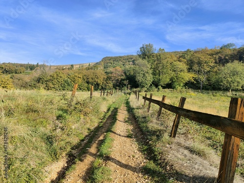 Fototapeta Naklejka Na Ścianę i Meble -  Rural footpath surrounded by green vegetation.