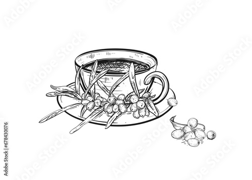 Hand drawn sketch black and white illustration cup of tea sea buckthorn, leaf, berry. Vector illustration. Elements in graphic style label, sticker, menu, package. Engraved style.