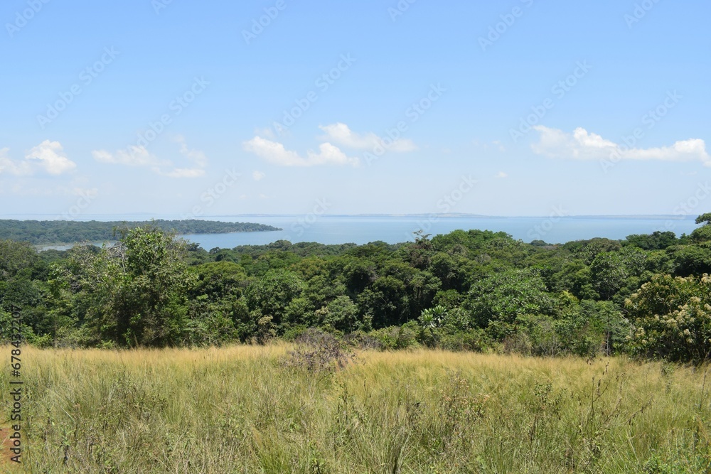 Kalangala island landscape in Uganda with blue sky background grass trees around