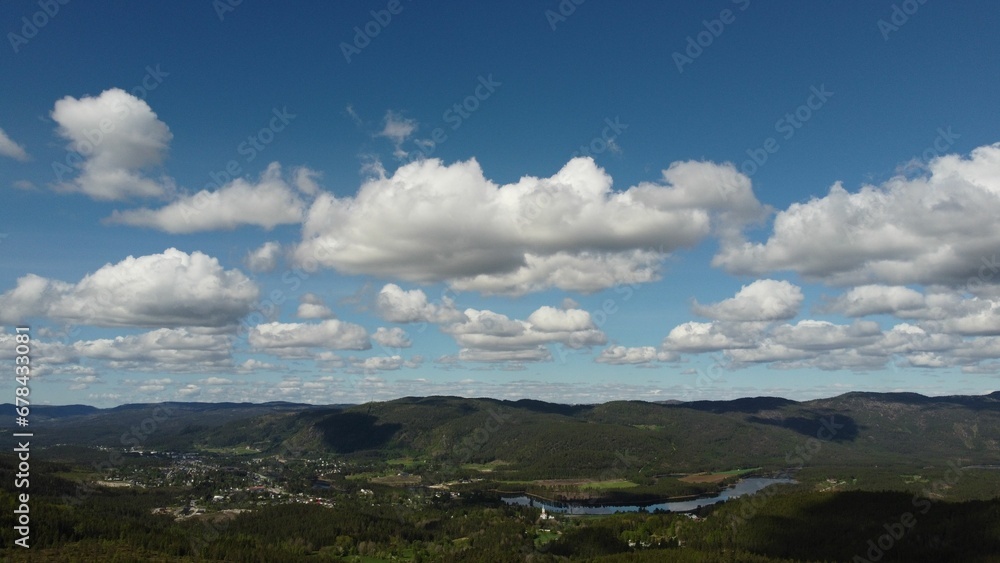 Aerial landscape of a forested hillside on a sunny day