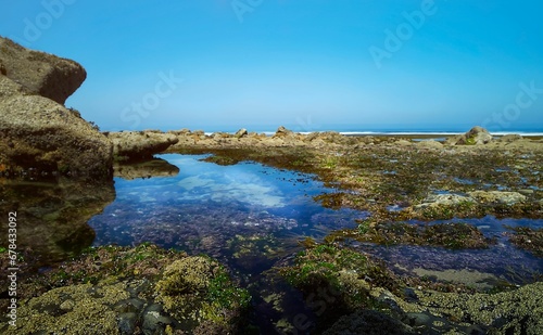 Seascape with rocks on the shore uncer clear sky
