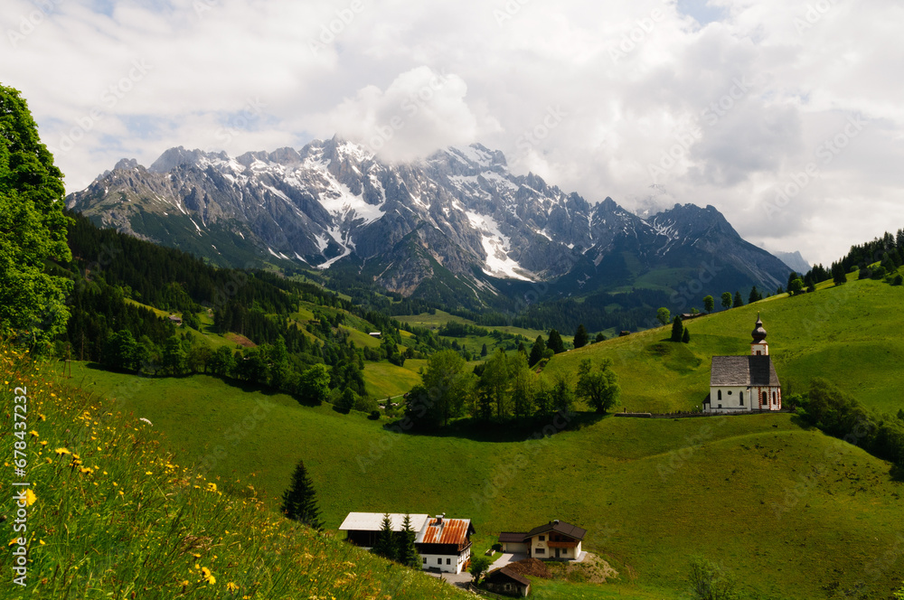 austrian landscape with cows