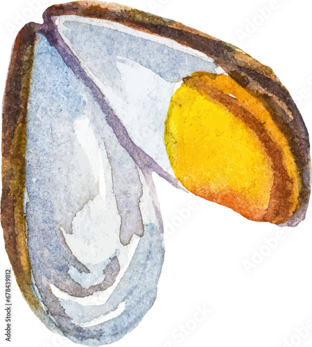 Watercolor painted mussels. Hand drawn fresh seafood design element isolated on white background.