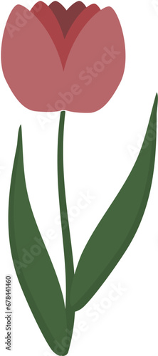 Clip art of red tulip flowers and spring red tulips bouquet