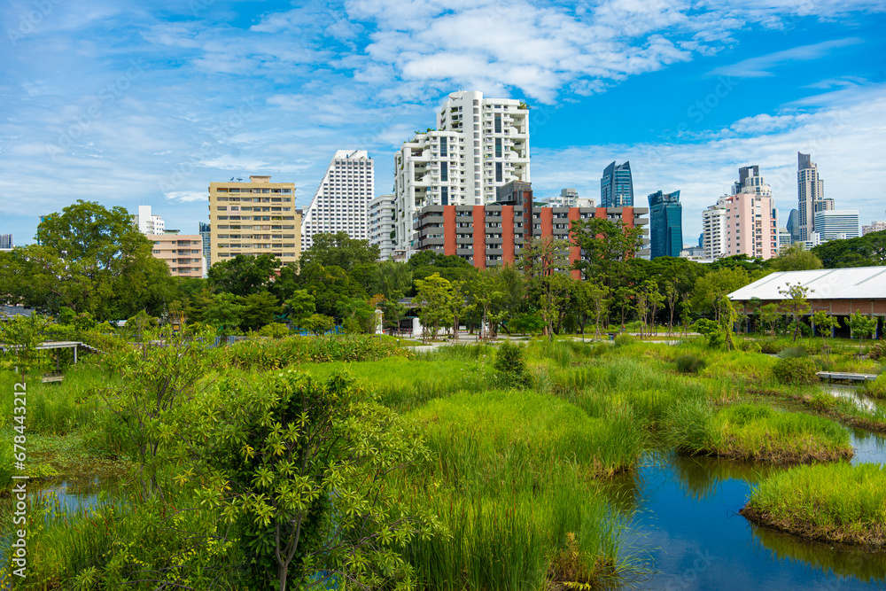 City green forest park Benchakitti new tropical park with office building Silom city City green forest park Benchakitti new tropical park with office building Silom city