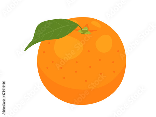 オレンジのベクターイラスト