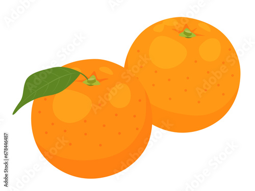 オレンジのベクターイラスト