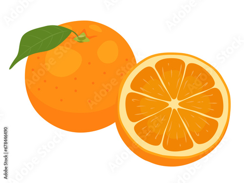 オレンジのベクターイラスト