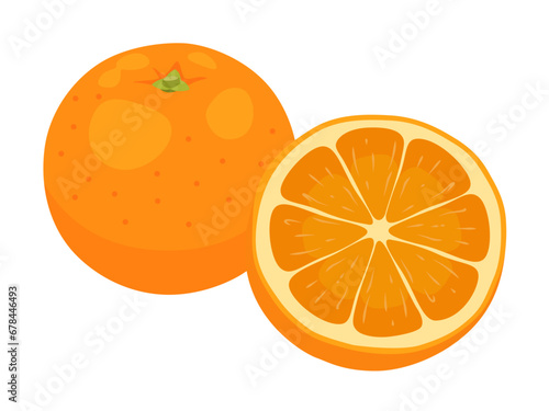 オレンジのベクターイラスト