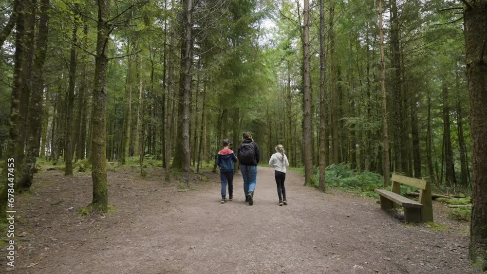 Mother Son And Daughter Young Family Walking Through Forest In Summer Mother Son And Daughter Young Family Walking Through Forest In Summer