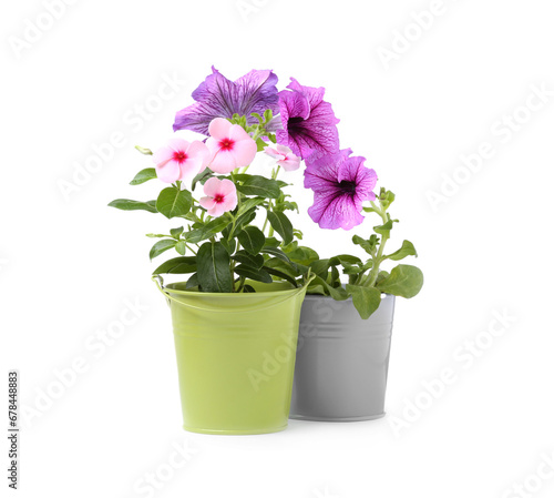Wallpaper Mural Beautiful flowers in different pots isolated on white Torontodigital.ca