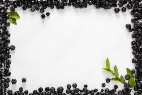 Frame of ripe bilberries and sprig on white background, flat lay. Space for text © New Africa