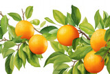 tangerines with leaves Isolated On white background, Generative ai