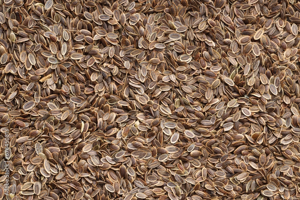 Many dry dill seeds as background, top view Many dry dill seeds as background, top view