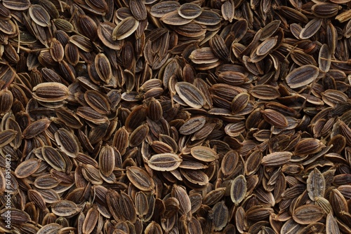 Many dry dill seeds as background, top view