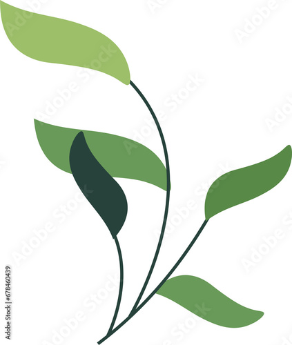 leaf green illustration