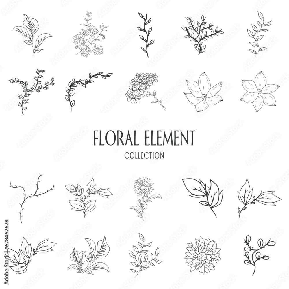 Individual floral hand drawn element collection