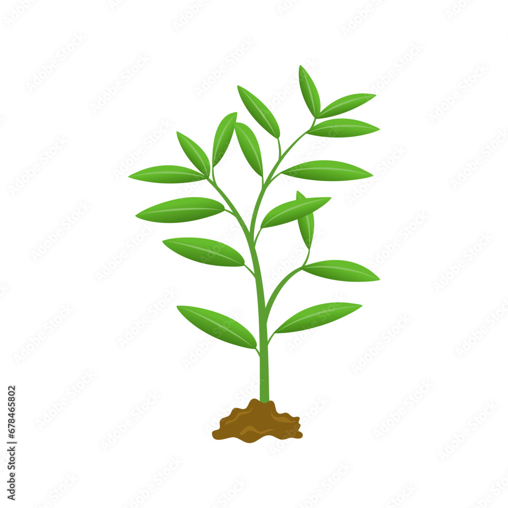 Fototapeta premium Grow plant tree grow agriculture icons