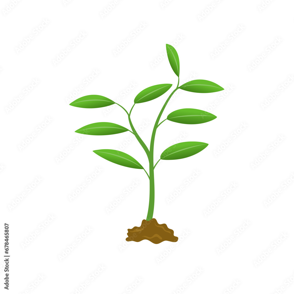 Fototapeta premium Grow plant tree grow agriculture icons