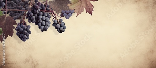 Vintage paper backdrop with dark grapes