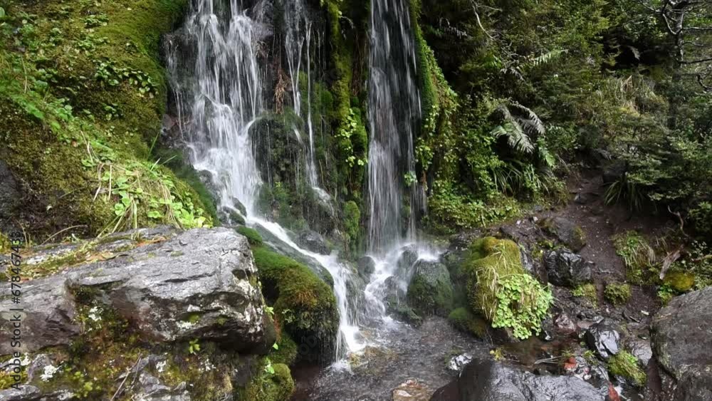 The foot of a small waterfall coming down the moss-covered rock wall of a gorge. Tongariro National Park, New Zealand. The foot of a small waterfall coming down the moss-covered rock wall of a gorge. Tongariro National Park, New Zealand.