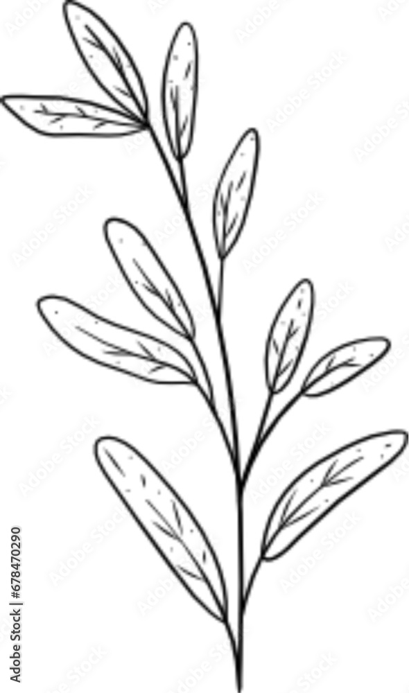 leaf hand drawn leaf hand drawn