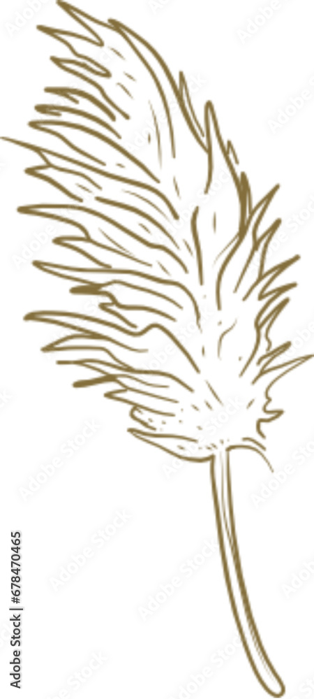 Obraz premium tropical leaf hand drawn