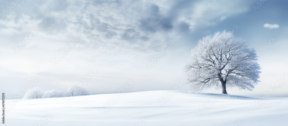 Winter landscape photographs in the snow Winter landscape photographs in the snow