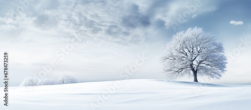 Winter landscape photographs in the snow