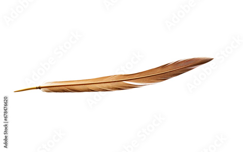 Amazing Cute Feather Quill Pen Tip Isolated on Transparent Background PNG.