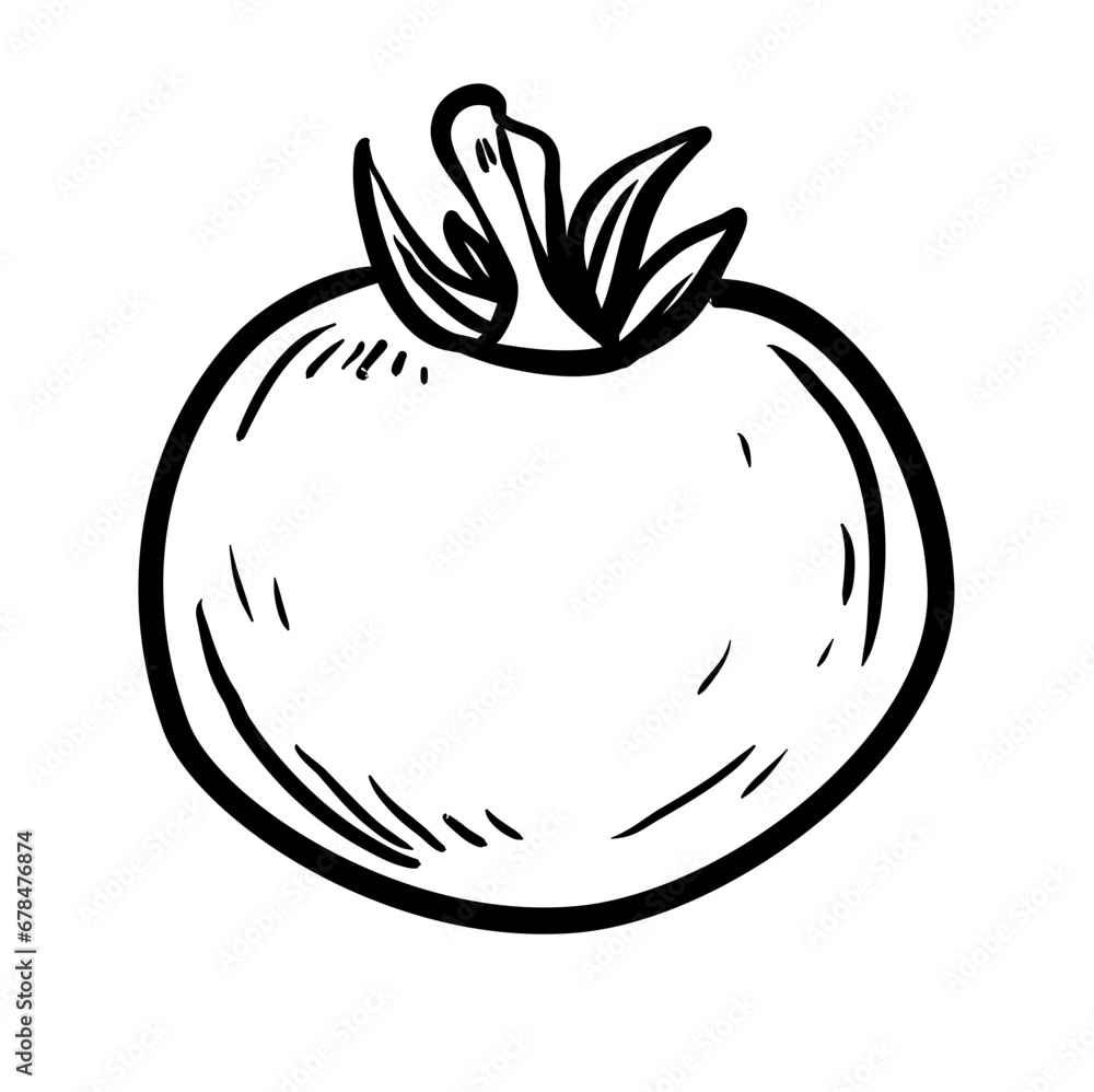 handdrawn tomato handdrawn tomato