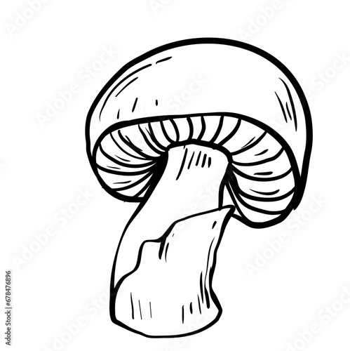 handdrawn mushroom